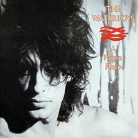 Waterboys, The: A Pagan Place (Vinyl)